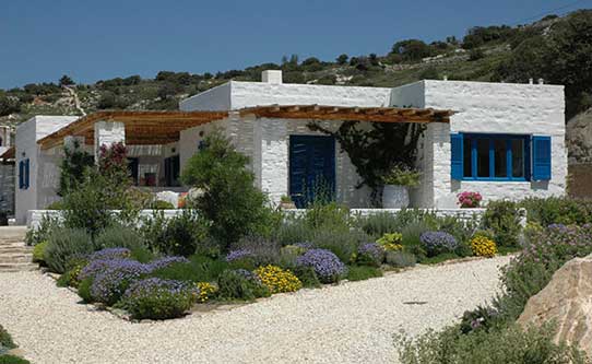 the-olive-house-exterior