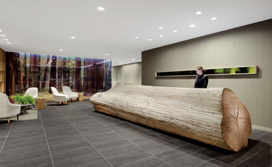 the-paradox-hotel-reception