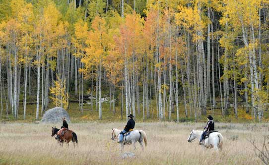 vista-verde-guest-ranch-horseback-riding